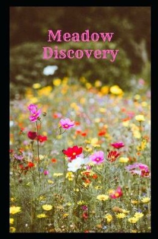 Cover of Meadow Discovery