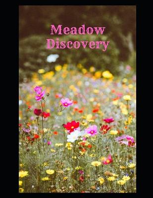 Book cover for Meadow Discovery