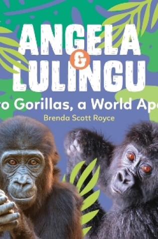 Cover of Angela & Lulingu