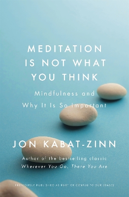 Book cover for Meditation is Not What You Think