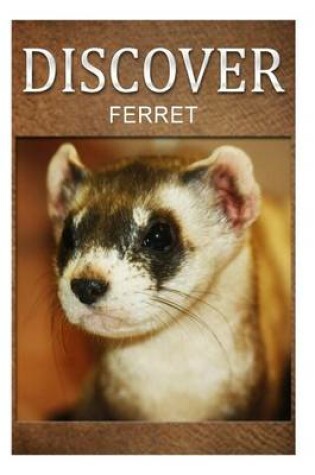 Cover of Ferret - Discover