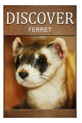 Book cover for Ferret - Discover