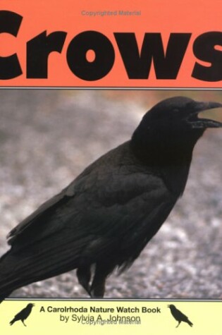 Cover of Crows