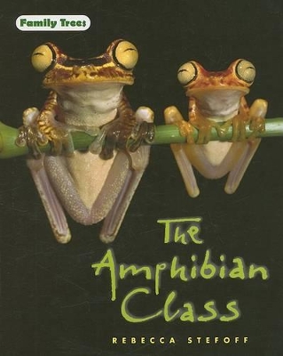 Cover of The Amphibian Class