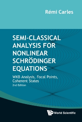 Book cover for Semi-classical Analysis For Nonlinear Schrodinger Equations: Wkb Analysis, Focal Points, Coherent States