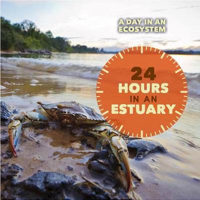 Book cover for 24 Hours in an Estuary