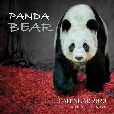 Book cover for Panda Bear Calendar 2020