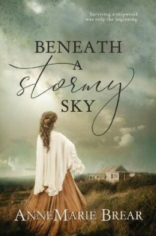 Cover of Beneath a Stormy Sky