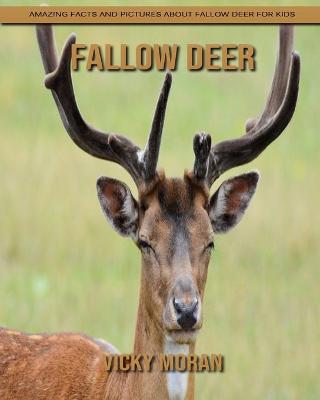 Book cover for Fallow Deer