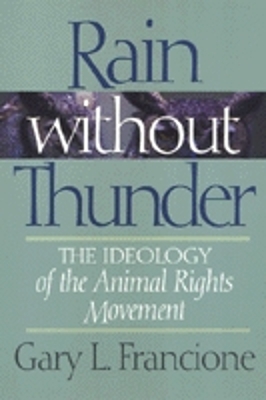 Book cover for Rain Without Thunder