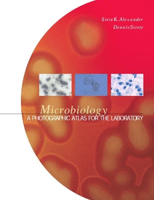 Book cover for MICROBIOLOGY