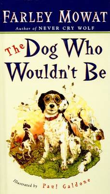 Book cover for Dog Who Wouldn't Be