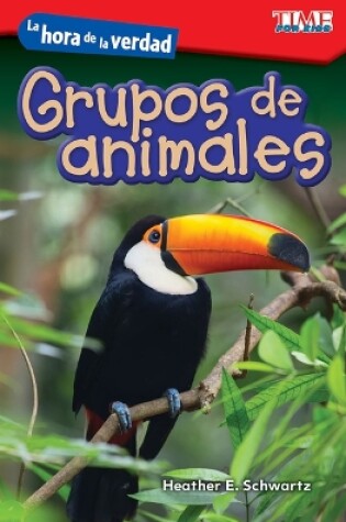 Cover of La hora de la verdad: Grupos de animales (Showdown: Animal Groups)