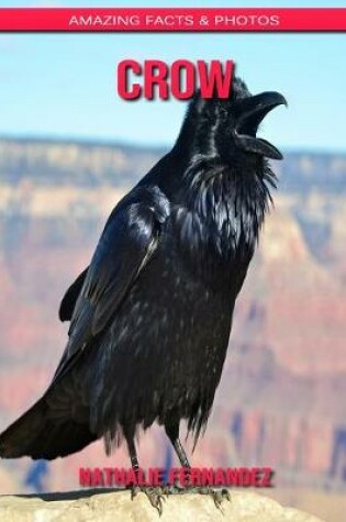 Cover of Crow