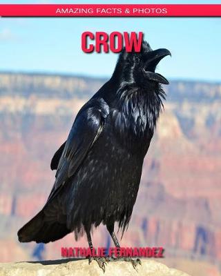 Book cover for Crow