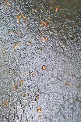 Book cover for Journal Wet Driveway Surface