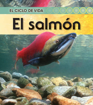 Book cover for El Salmon