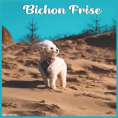 Book cover for Bichon Frise 2022 Calendar