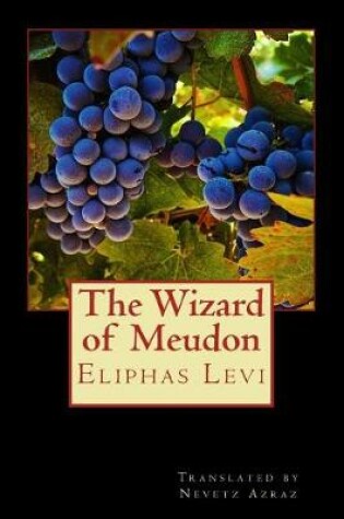 Cover of The Wizard of Meudon
