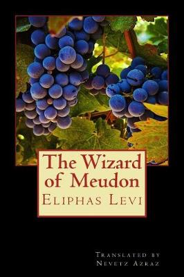 Book cover for The Wizard of Meudon