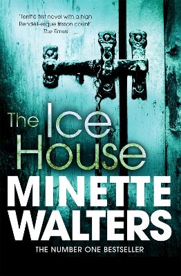 Book cover for The Ice House