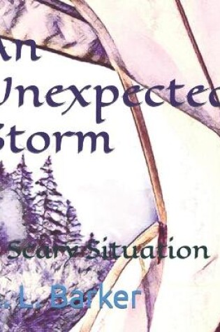 Cover of An Unexpected Storm