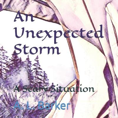 Book cover for An Unexpected Storm