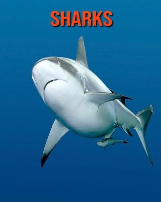 Book cover for Sharks