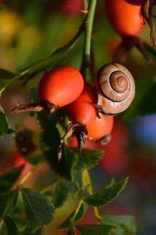 Cover of Rose Hips and a snail in the Garden Journal