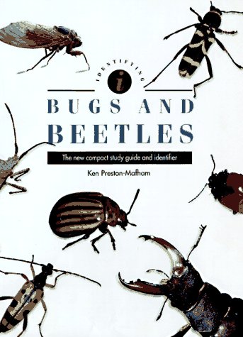 Book cover for Identifying Bugs and Beetles