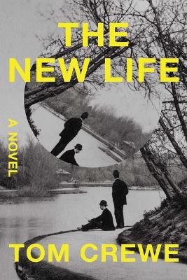 Book cover for The New Life