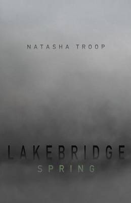 Book cover for Lakebridge