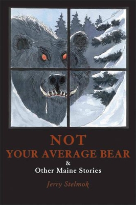 Book cover for Not Your Average Bear