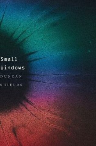 Cover of Small Windows