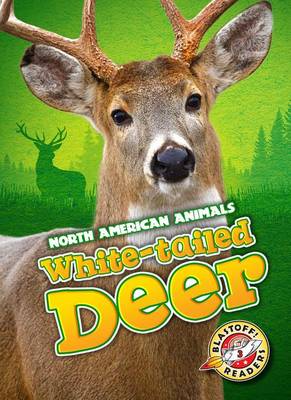 Book cover for White-Tailed Deer