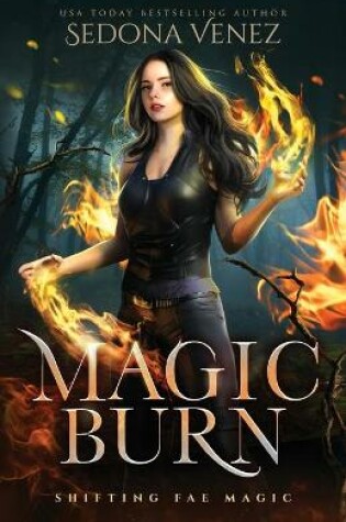Cover of Magic Burn