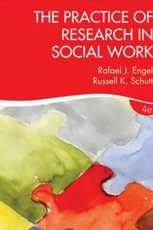 Cover of The Practice of Research in Social Work