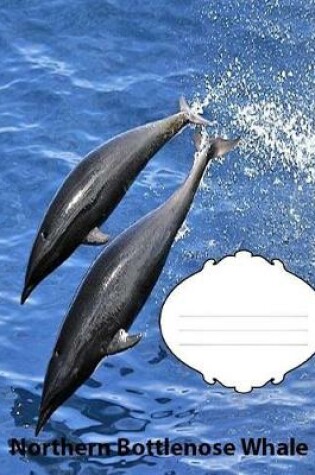 Cover of Northern Bottlenose Whale College Ruled Line Paper Composition Book