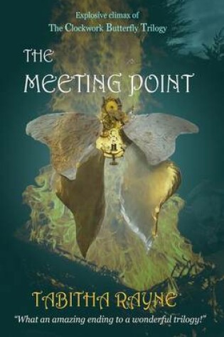 Cover of The Meeting Point