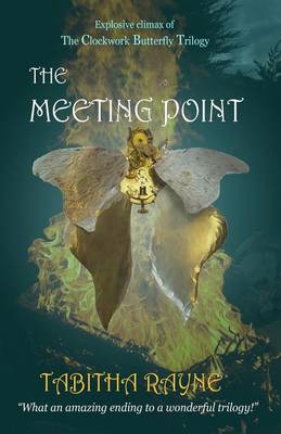 Cover of The Meeting Point