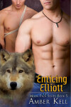 Book cover for Enticing Elliott