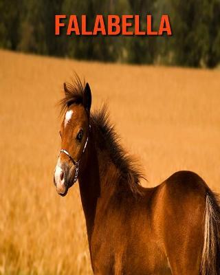 Book cover for Falabella