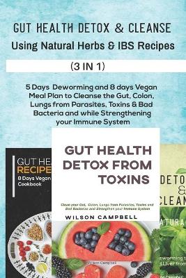 Book cover for Gut Health Detox & Cleanse Using Natural Herbs and Ibs Recipes