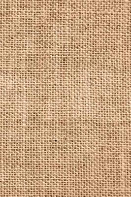 Cover of 2019 Daily Planner Brown Burlap Faux Texture 384 Pages