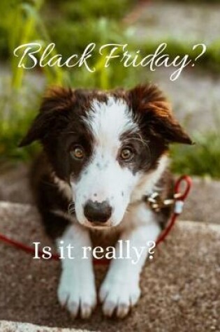 Cover of is it really Black Friday?