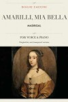 Book cover for Amarilli, mia bella