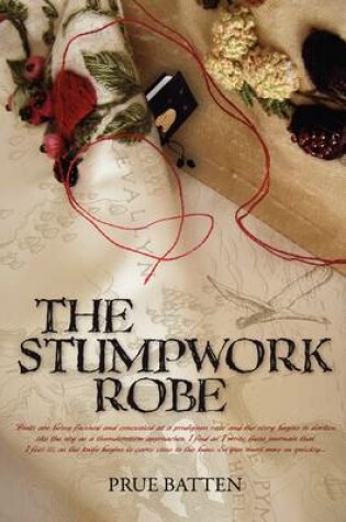 Cover of The Stumpwork Robe