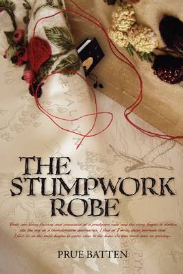 Book cover for The Stumpwork Robe