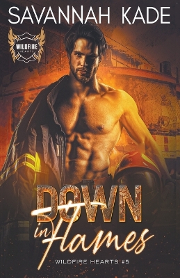 Book cover for Down In Flames