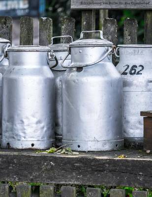 Book cover for Jumbo Oversized Milk Urns on a Farm in Germany